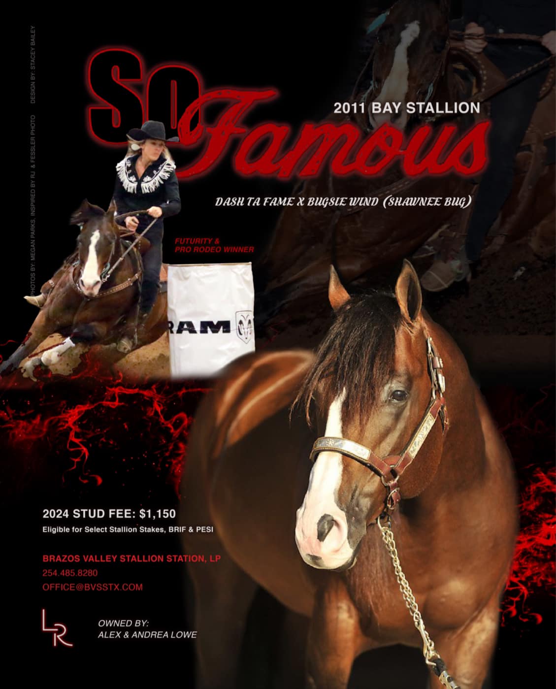 SO FAMOUS BRIF STALLION