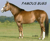 Famous bugs